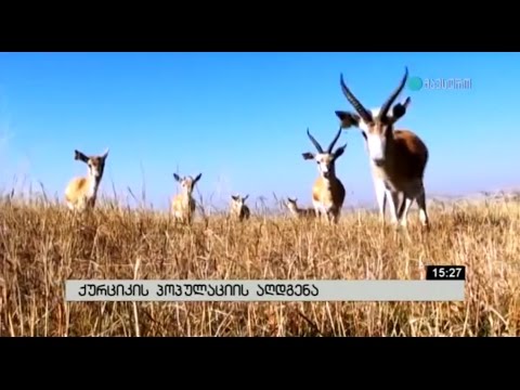 გიგლა აგულაშვილი ვაშლოვანის დაცულ ტერიტორიებზე იმყოფებოდა